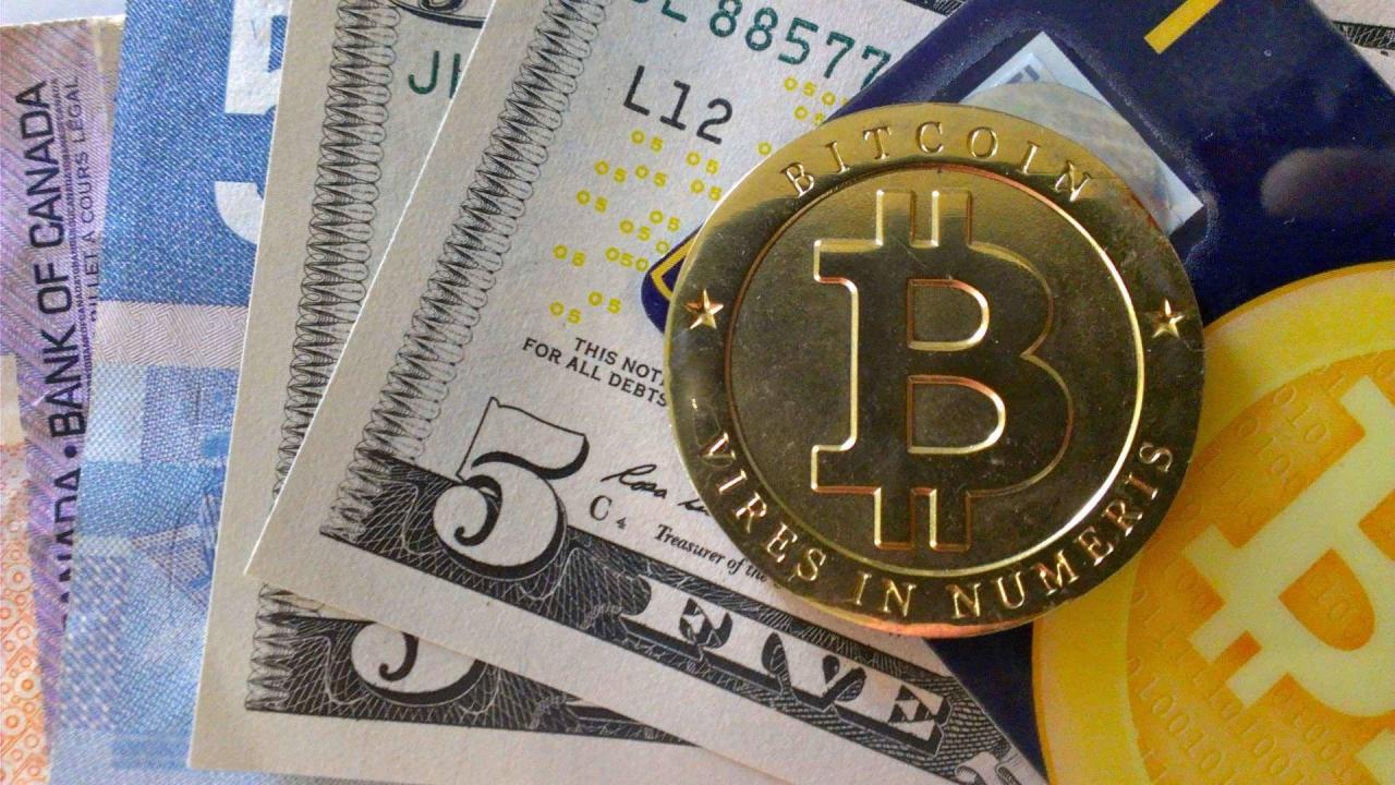 What should a beginner do in forex trading