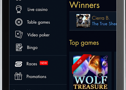 Mr Slot 25 free spins no deposit casinos