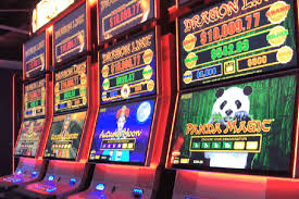 Discover the Excitement of Online Gaming with thepokies