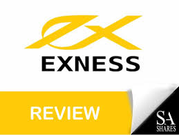 Exploring the Exness Web Platform for Seamless Trading