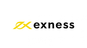 Exploring the Exness Web Platform for Seamless Trading
