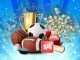 how do odds work in betting