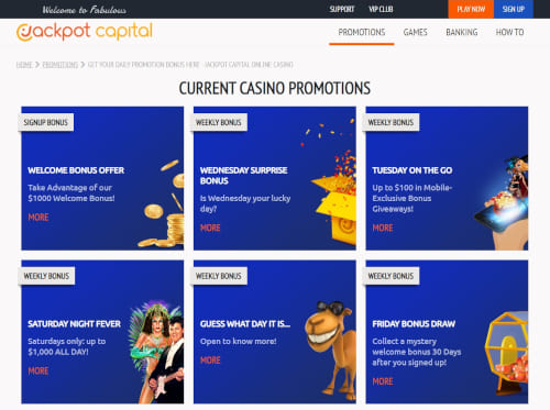 BetX101 online casino