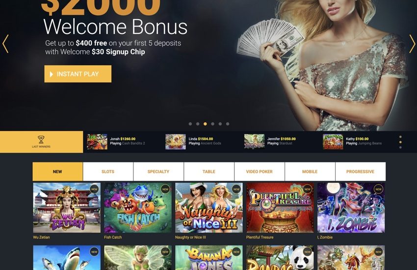 Bruce Bet Bonuscode
