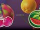 Megawin online casino