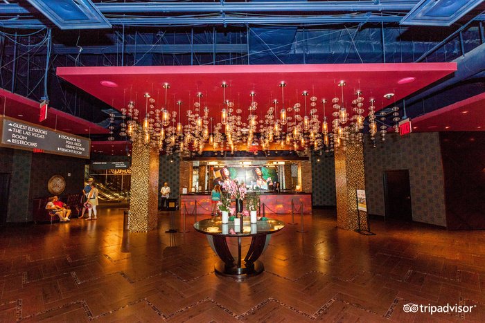 Casino Medusa 2