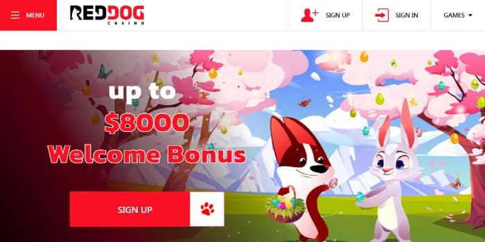 casino app maker