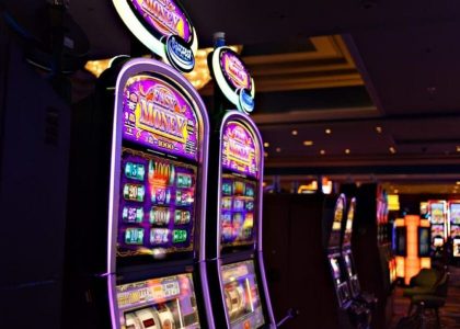 Slot wild games
