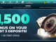 vicky ventura slot payout