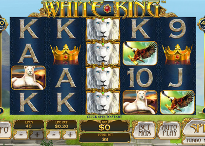 casino arcanebet 100 free spins